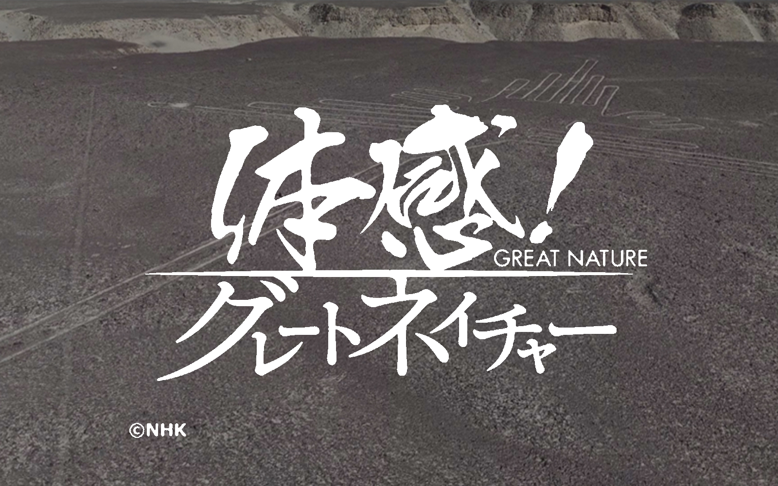 [NHK] 体感！グレートネイチャー「誕生！ナスカ地上絵～ペルー・隆起と海流の謎～」