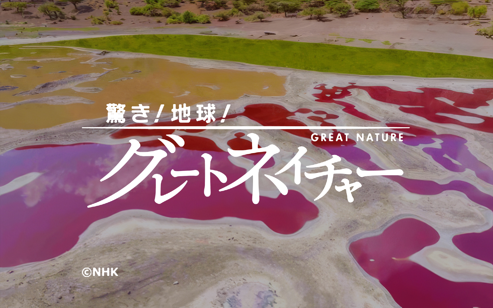 [NHK] 驚き！地球！グレートネイチャー「新説！引き裂かれる絶景大地～アフリカ・ケニア～」
